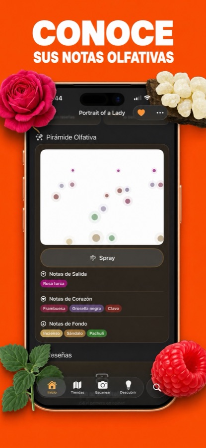 Ficha de perfume con pirámide olfativa en la app Nezly